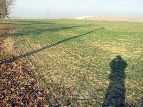 Property photo 5 - 60 Acres Offered in 2 Tracts